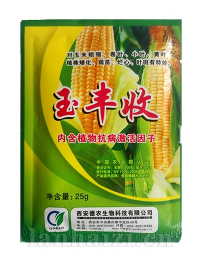 玉丰收