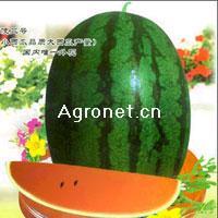 天使三号