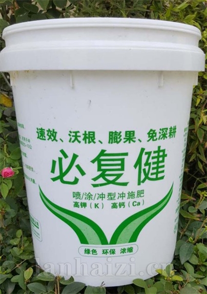 必复健