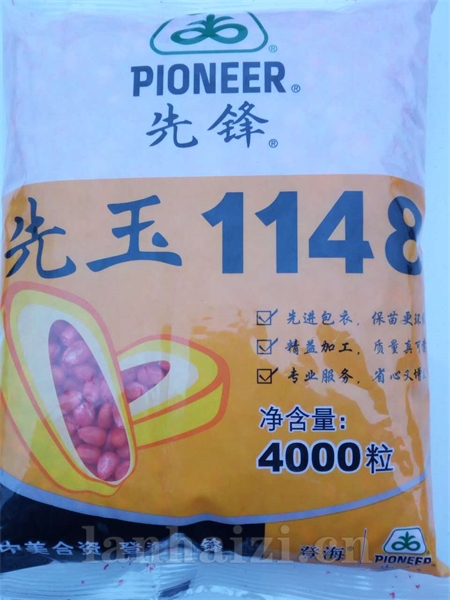 先玉1148