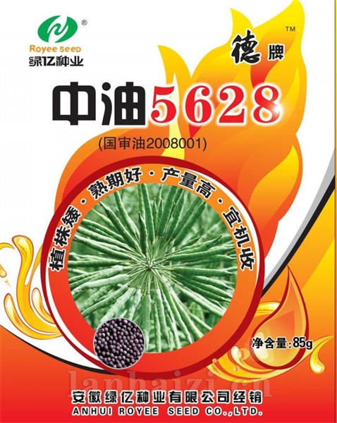 中油5628