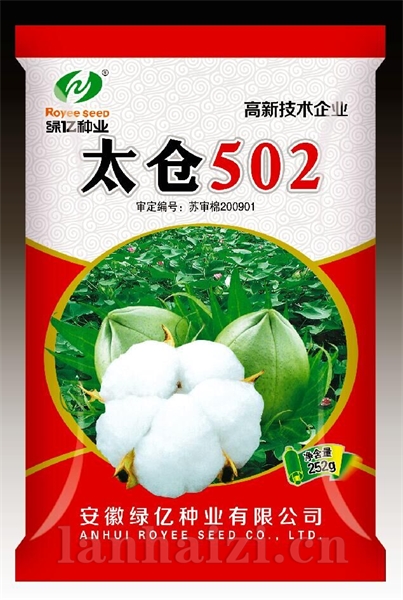 太仓502