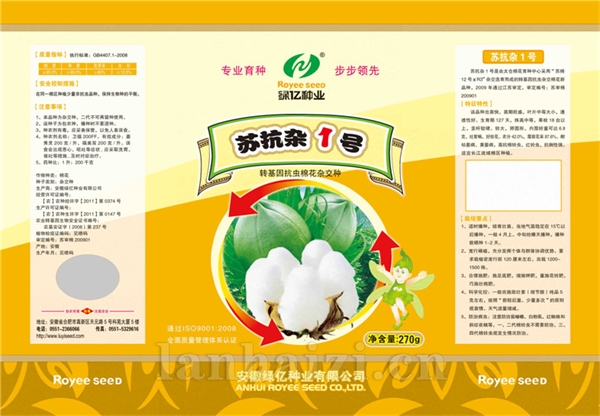 苏抗杂1号