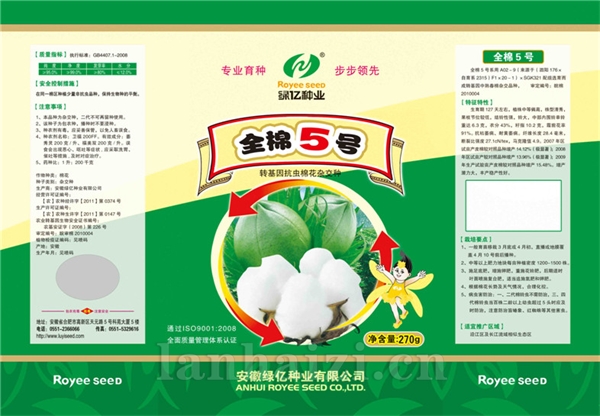 全棉5号