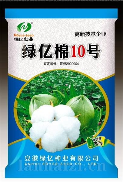 绿亿棉10号