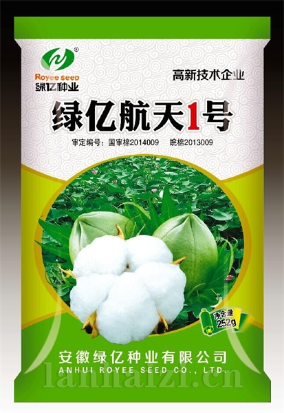 绿亿航天1号