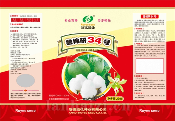 鲁棉研34号