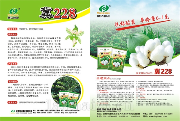 冀228