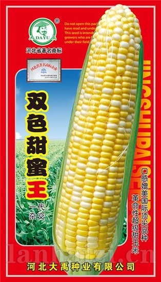 双色甜蜜王