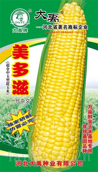 美多滋新