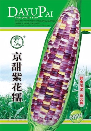 京甜紫花糯