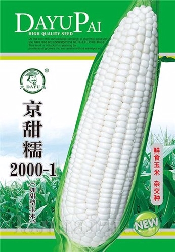 京甜糯2000-1