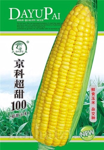 京科超甜100