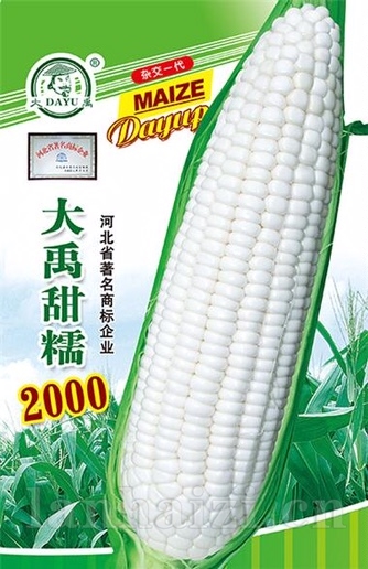 大禹甜糯2000