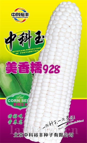 美香糯928