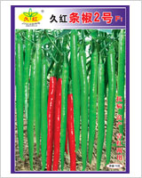 久红条椒２号