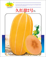 久红甜２号