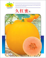 久红蜜
