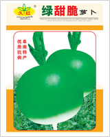 绿甜脆萝卜