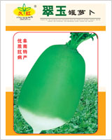 绿甜脆萝卜