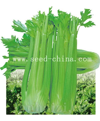 加州王