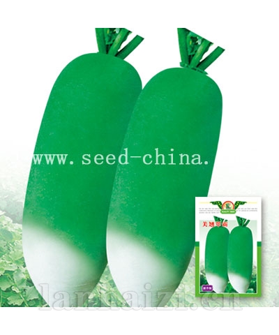 美翘翠霸