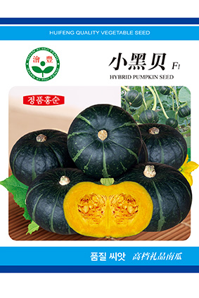小黑贝