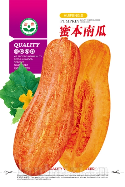 蜜本南瓜