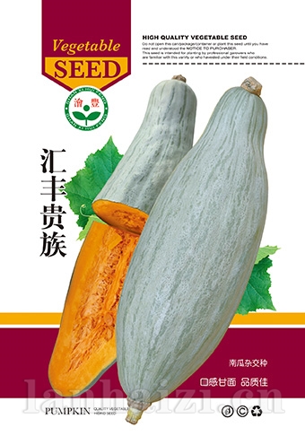 汇丰贵族