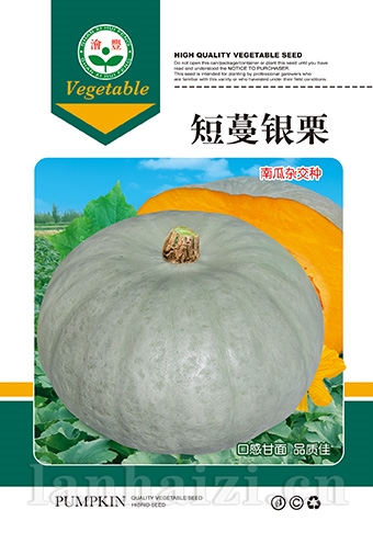 短曼银粟