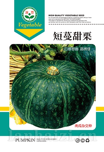 短蔓甜粟