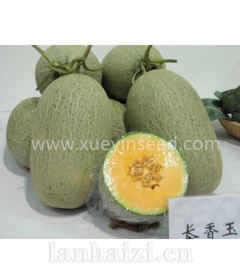长香玉