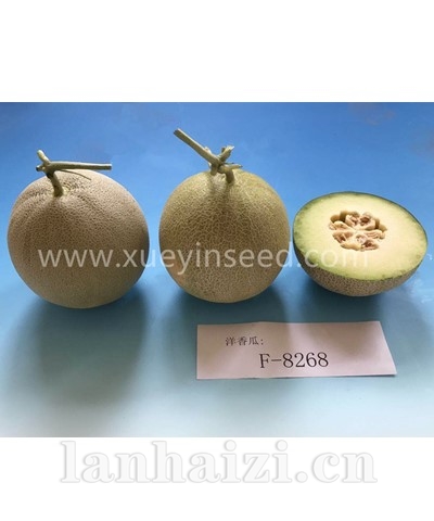 F104-8268