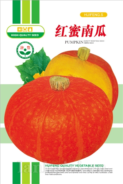 红蜜南瓜