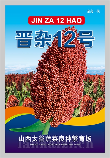 晋杂12号