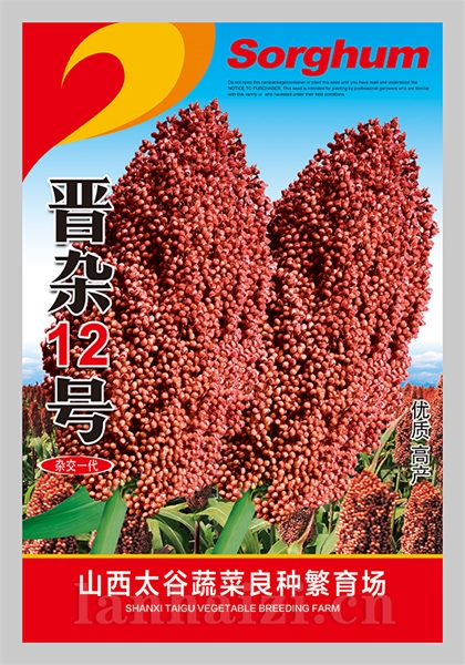 晋杂12号 杂交一代