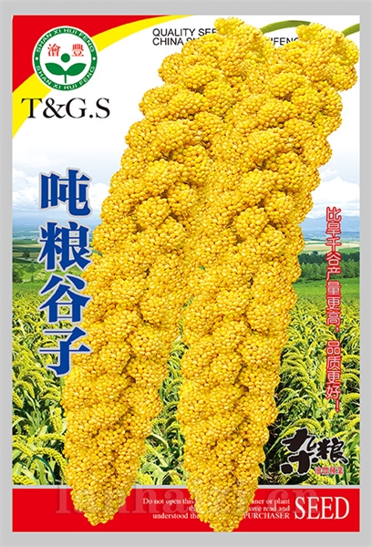 吨粮谷子