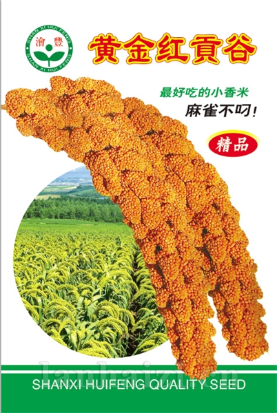 黄金红贡谷