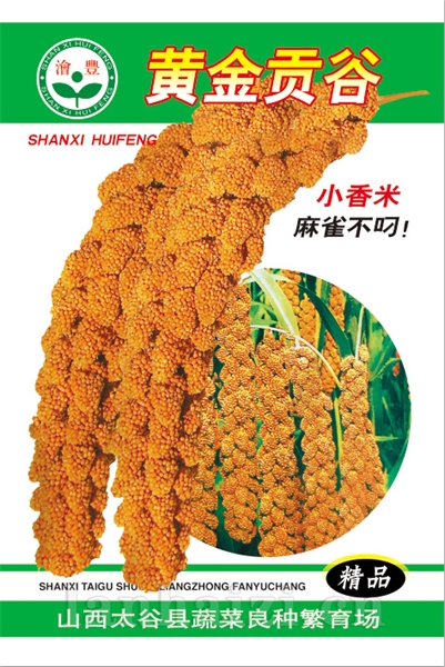 黄金贡谷