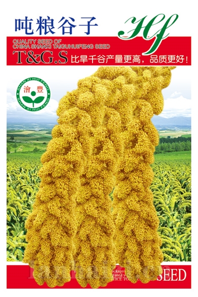 吨粮谷子