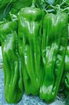 万家福