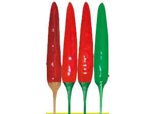金椒干2号