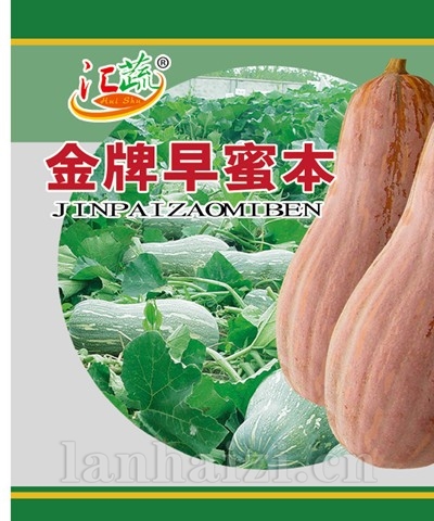 金牌早蜜本