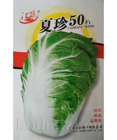 夏珍50