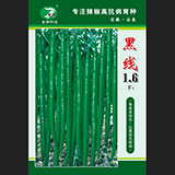 黑线1.6