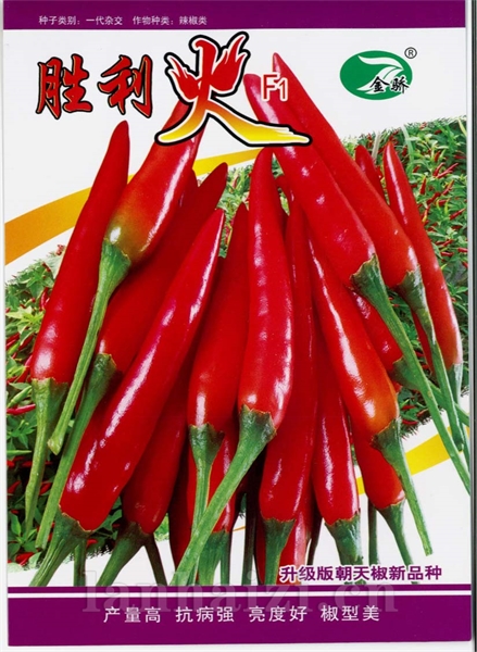胜利火