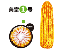 美意1号