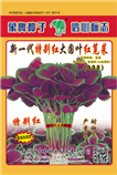 新一代特别红大圆叶红苋