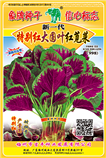 特别红大圆叶红苋菜998
