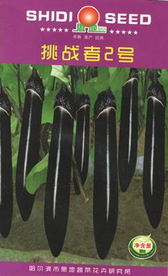 挑战者2号——茄子类